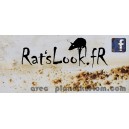 Sticker ratslook.fr facebook bleu patina rust rats look fr 4