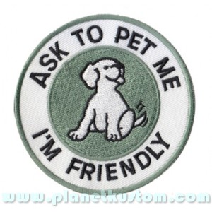 Patch ecusson thermocollant ask to pet i am friendly petit chien 