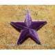 Patch ecusson thermocollant purple star etoile polaire violette