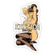 Sticker pin up exotica tattoo girl d.Vicente 28