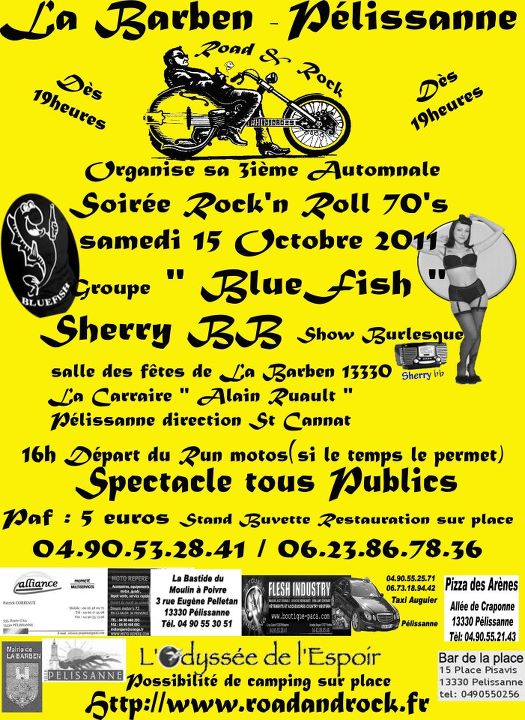 concert rock n roll